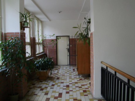 317843_106376372803639_100002938307468_42474_576482511_n